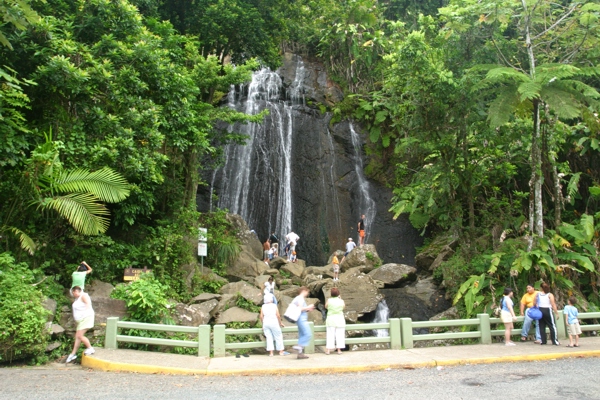Coca Falls, a stop on the rainforest tour